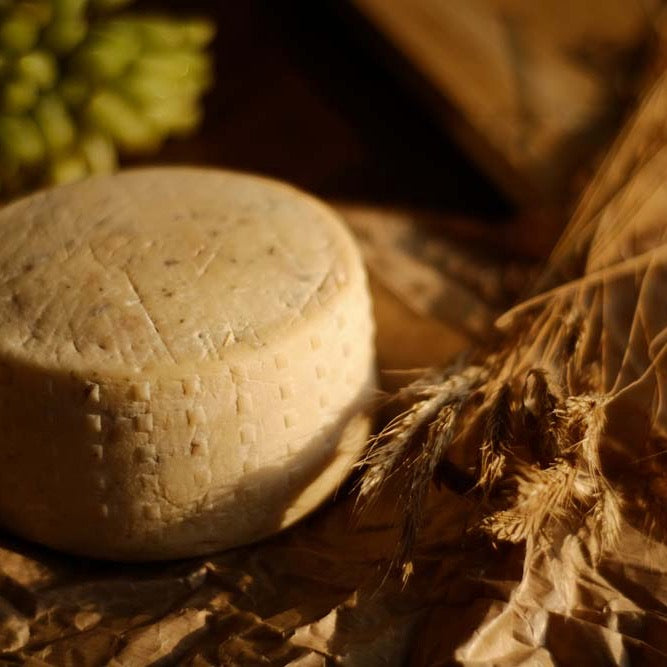 Formaggio º8T - Natural Rind Cheese with Truffle Mushroom